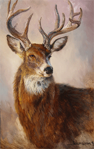 Last of the Herd, painting of an old buck with a huge rack of antlers by Stefan Baumann