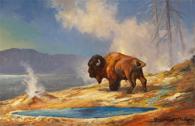 Yellowstone Bison, plein air painting of a buffalo in Yellowstone National Park by artist Stefan Baumann. Exasmple of apinting wildlife on location used in Baumann's post about painting wildlife in Yellowstone National Park.