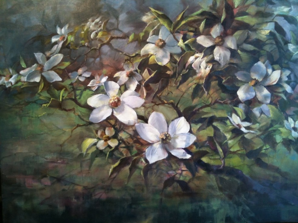 This is an image of "Mount Shasta Dogwood Blossoms" painted by Stefan Baumann