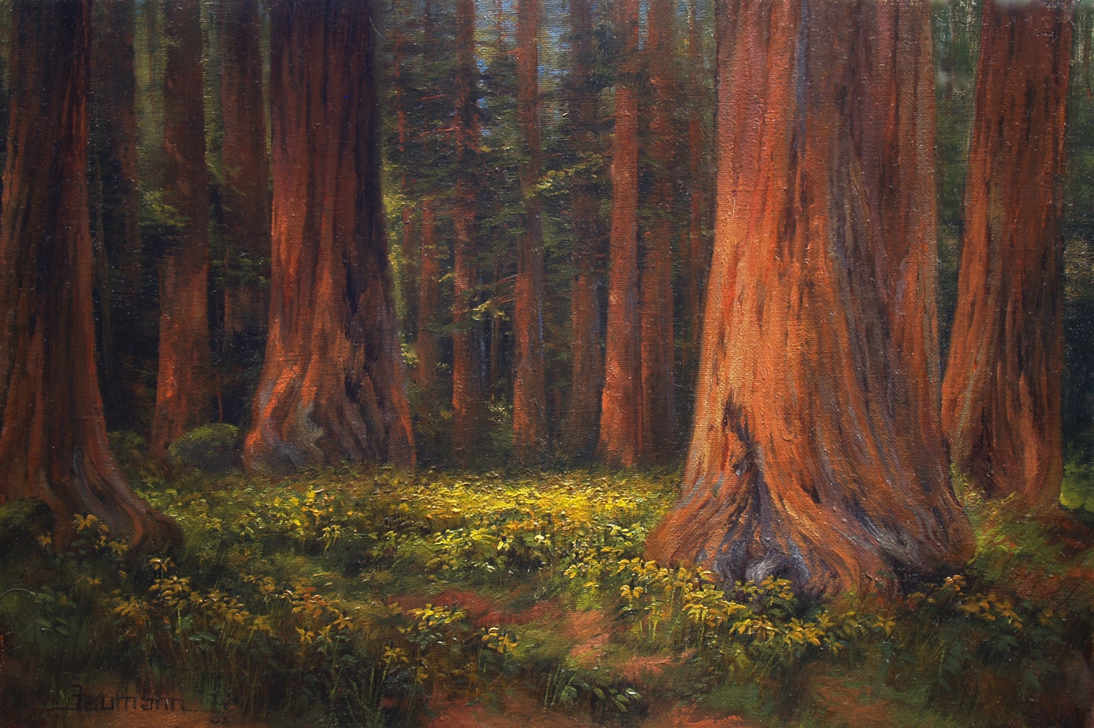 This painting of Giant Sequoia Trees with yellow flowers on the ground was painted by Stefan Baumann and titled Among the Giants.