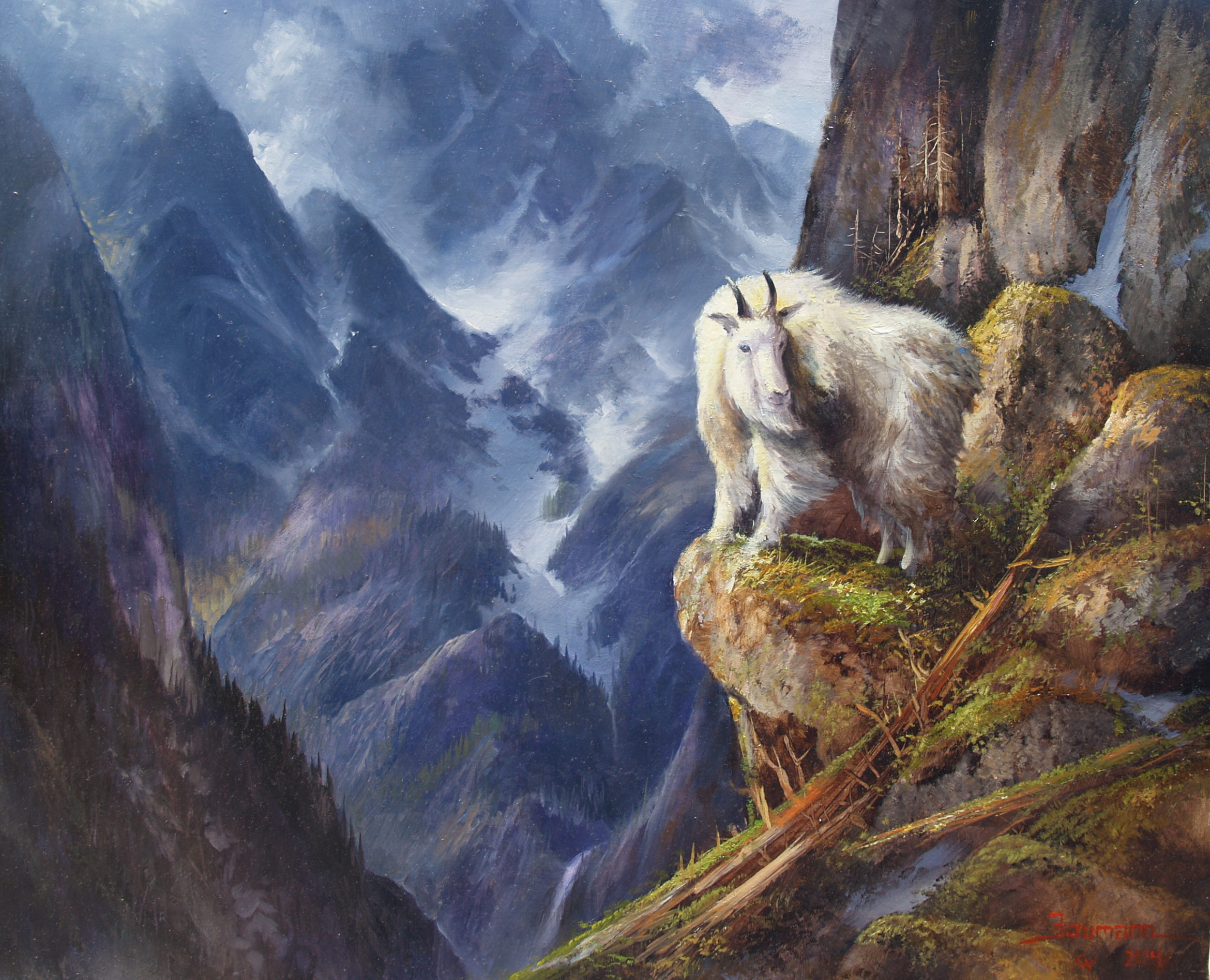 This painting titled Cliff Dweller is an oil painting by Stefan Baumann of a mountain Dall Sheep in Glacier National Park perched on the edge of a high cliff.