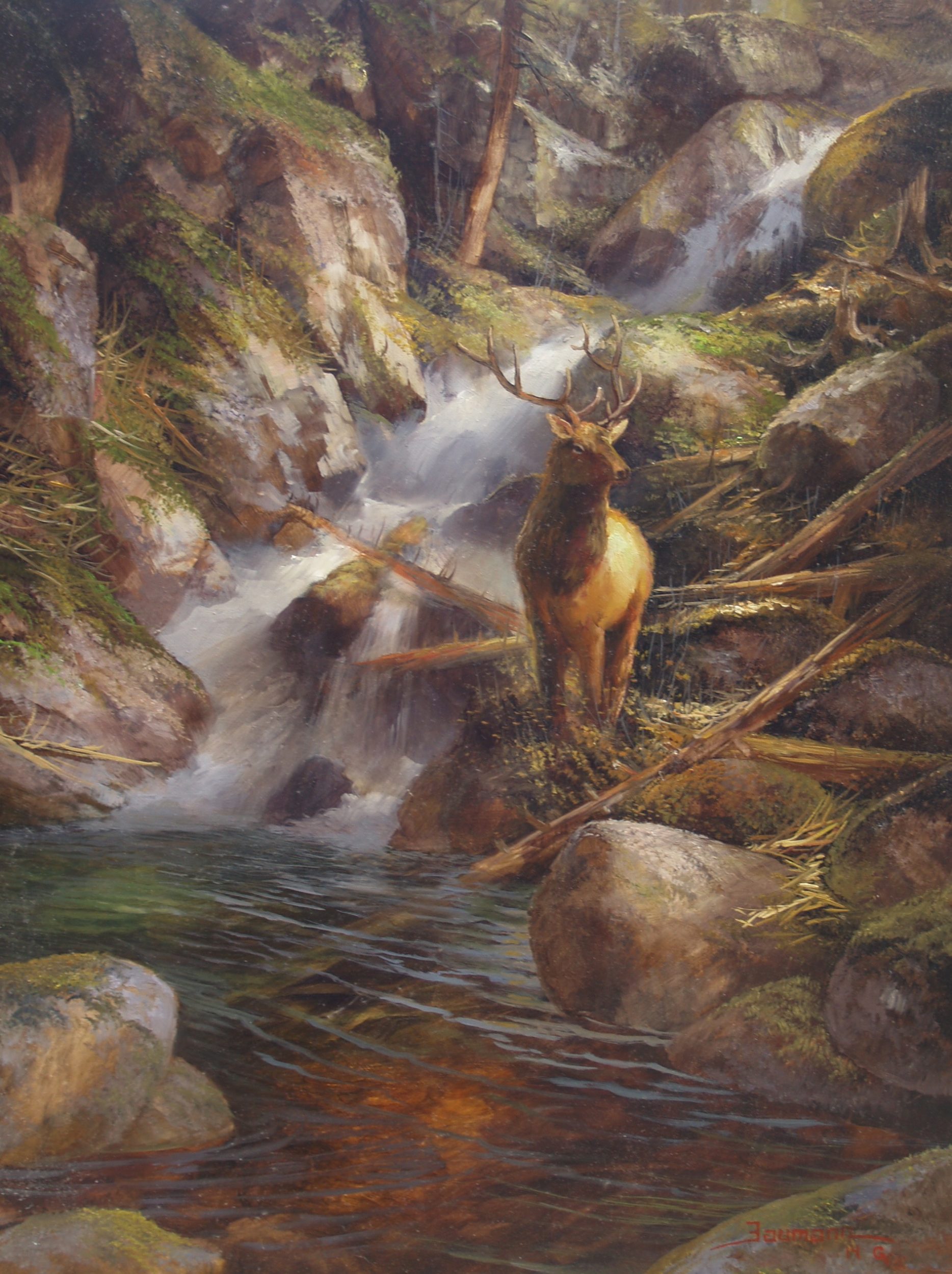 This painting called Wapiti Sanctuary by Stefan Baumann features an Elk called a Wapiti in the pool of a waterfall