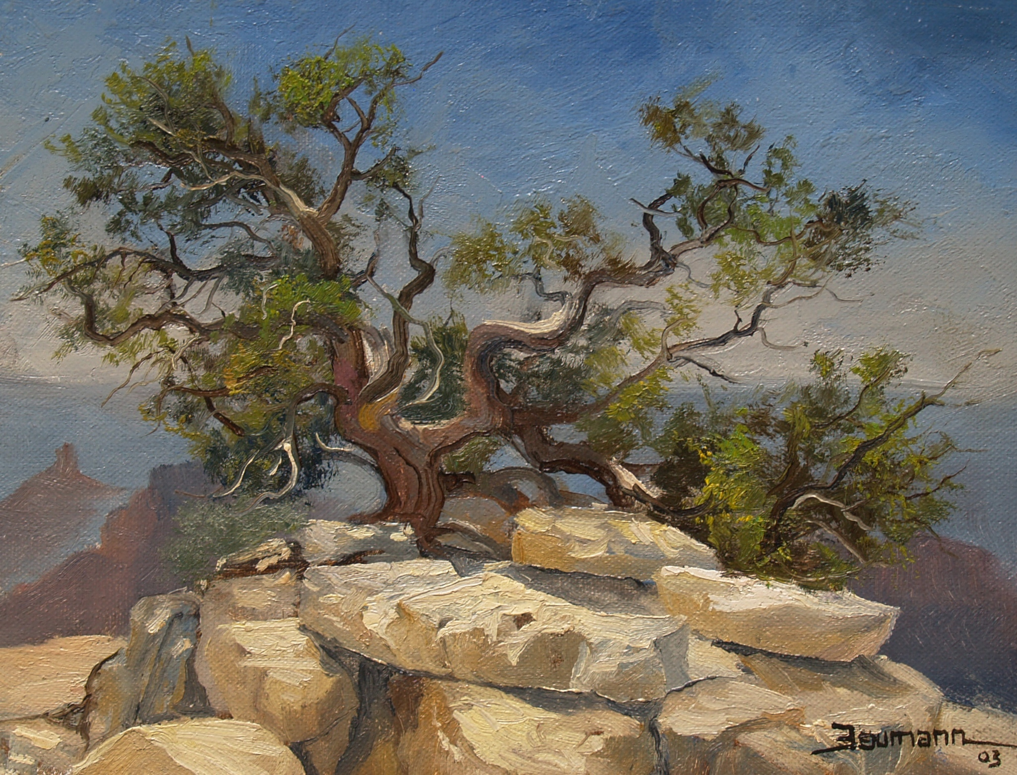 This plein air oil painting called North Rim at Noon by Stefan Baumann features a lone Joshua tree in the Grand Canyon National Park.