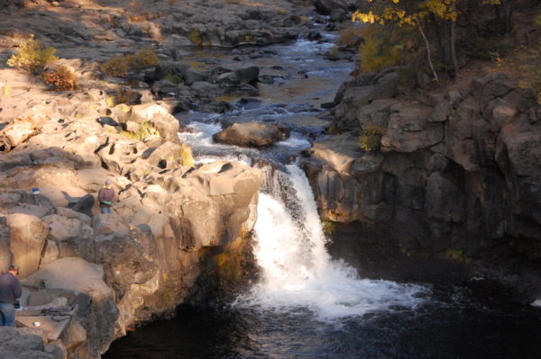 This is a photo of a view of the Lower Falls that is one of the favorite places that The Grand View Workshop participants love to paint.