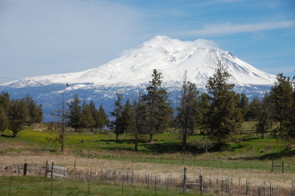 This is a photo of a view of Mount Shasta with snow covering the mountain from Louis Road that is a favorite of The Grand View Workshop participants to paint.