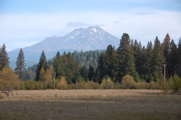 This photo is of a view of Mt. Shasta from the South Side in early spring with snow still on the mountain.