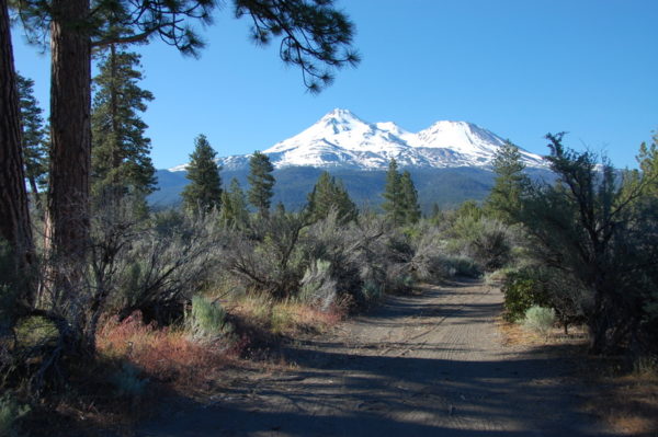 This is a photo of a painting location on the North Side of Mount Shasta that Workshop participants love to paint plein air.