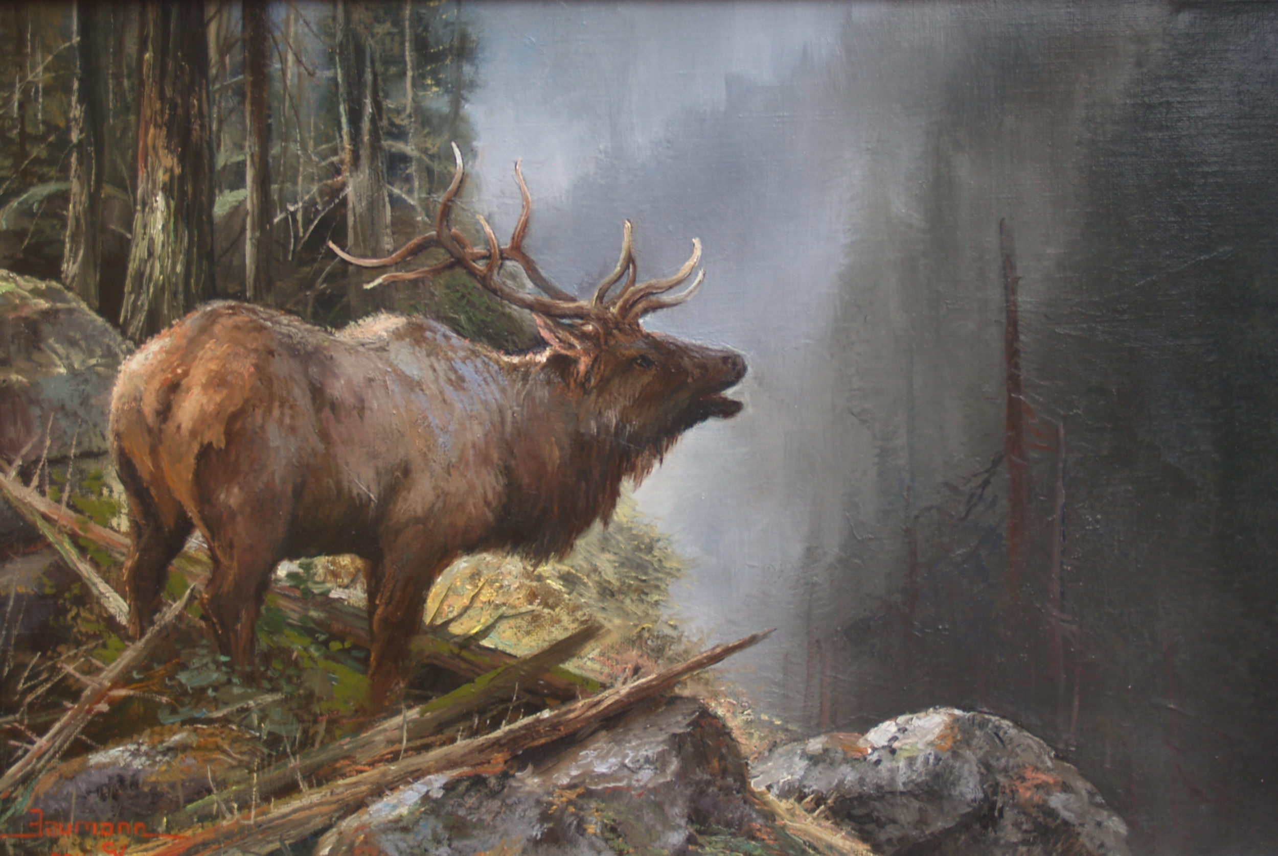 This is an oil painting of an Elk breaking the silence of the forest with his call painted by artist Stefan Baumann in the mountains near Mt. Shasta, California