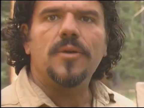 Plein Air Sequoia National Park The Grand View oil Painting Stefan Baumann