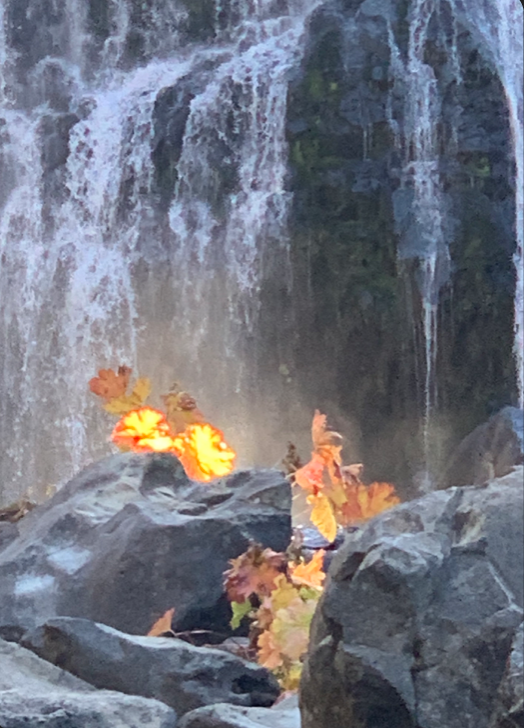 Fall Colors at Mc Cloud @ Baumann Plein Air workshop