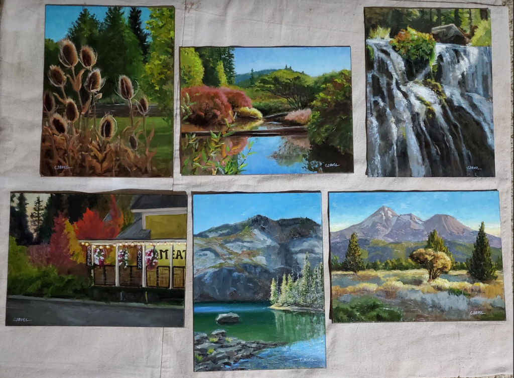 A collection of some paintings done by one student, Carrie Taves during a three day Baumann workshop in Mt Shasta, its not uncommon for students to do 8 to 10 paintings in three days.