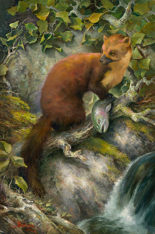 River Bandit, oil painting of a pine martin with a fish, by Stefan Baumann ©2021