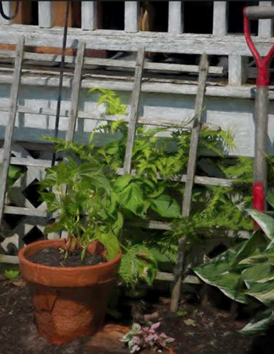 Baumann Coaching Student Karl Fritz