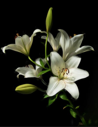 Baumann Coaching Karl Fritz