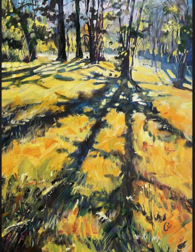 Baumann Coaching Student Cheryl WillcoxBaumann Coaching Student Cheryl Willcox