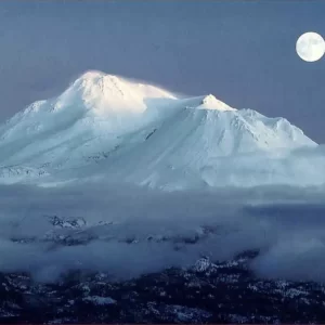 February 1, 2026 Brush N Brunch image