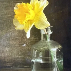 Golden Trumpet in Shadowed Stillness, oil by STefan Baumann