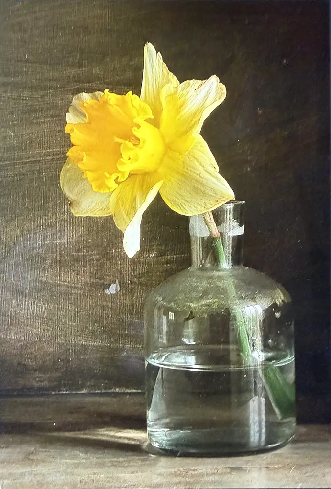 Golden Trumpet in Shadowed Stillness, oil by STefan Baumann